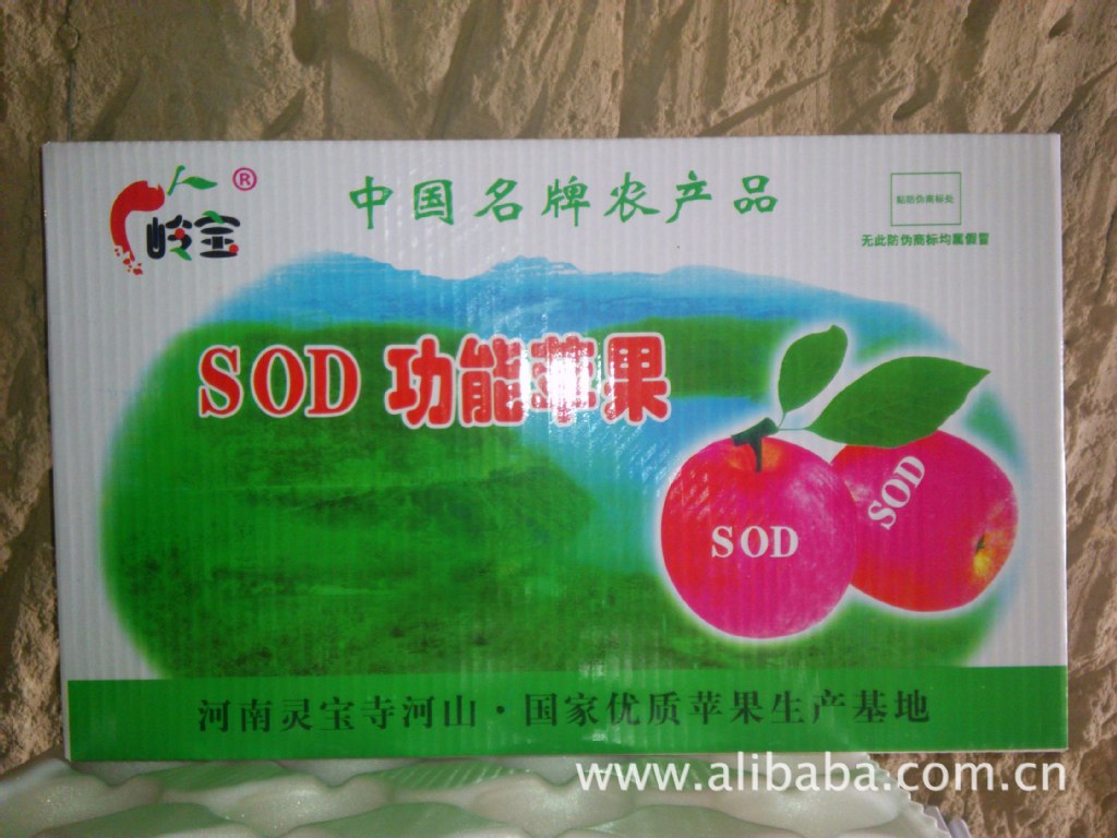 高山果園的饋贈(zèng) 綠色無公害紅富士蘋果，品質(zhì)與健康的承諾